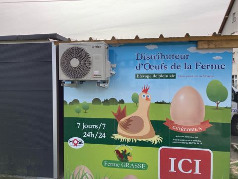 Climatisation local oeufs